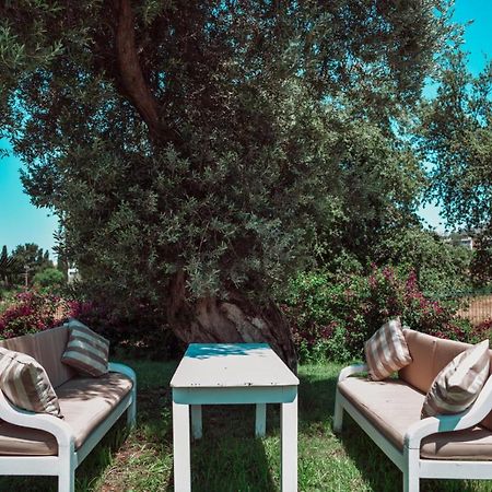 Amore Boutique Hotel Yalıkavak Dış mekan fotoğraf