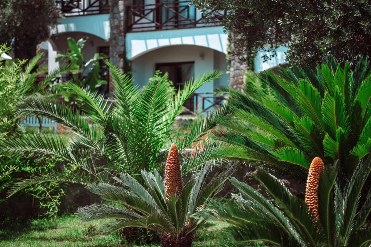 Amore Boutique Hotel Yalıkavak Dış mekan fotoğraf