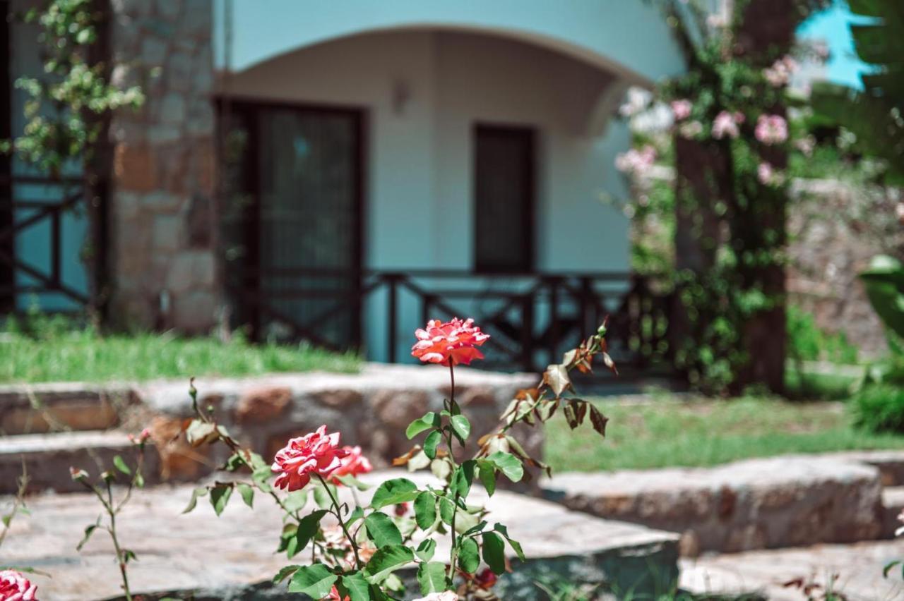 Amore Boutique Hotel Yalıkavak Dış mekan fotoğraf