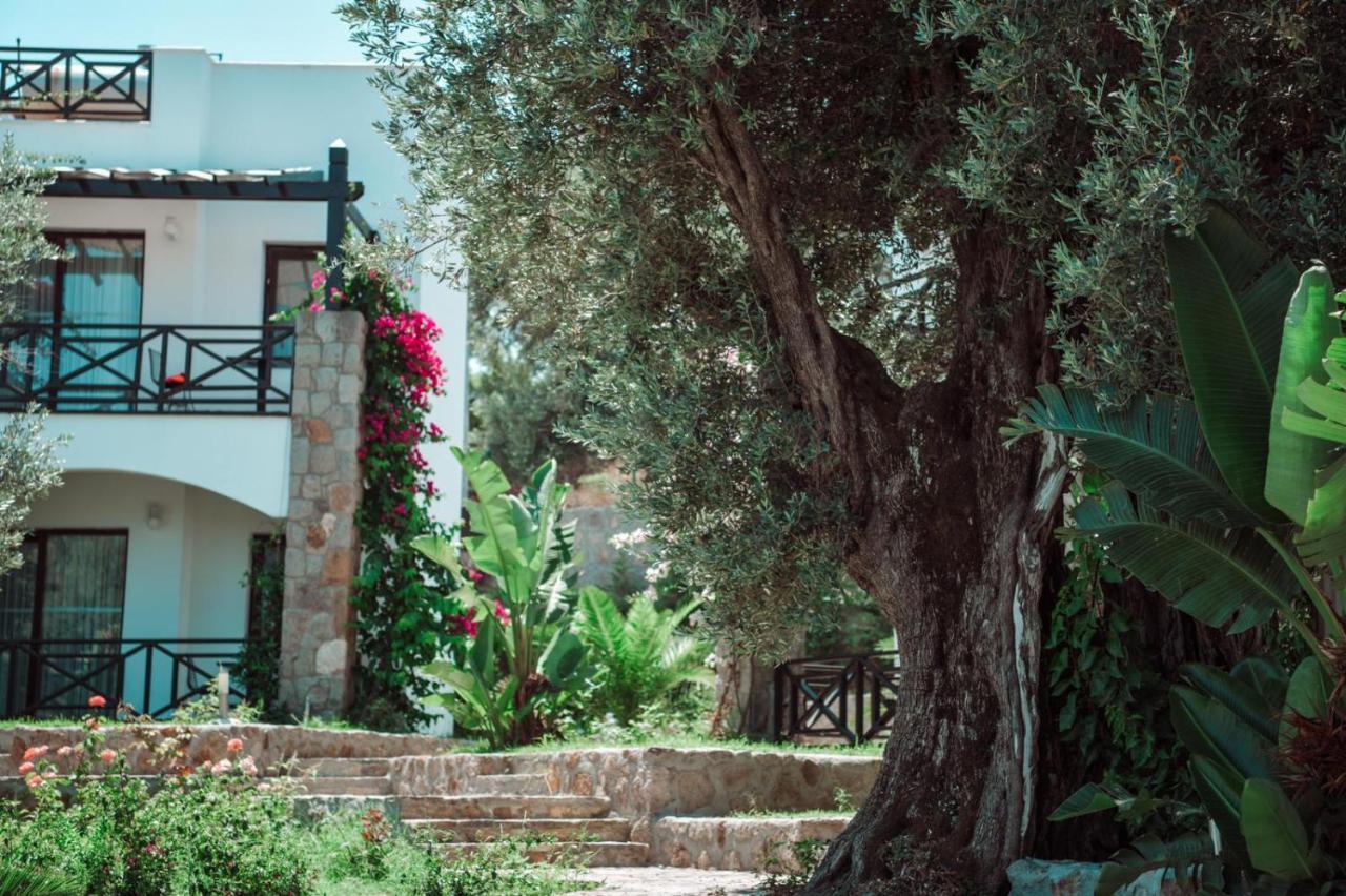 Amore Boutique Hotel Yalıkavak Dış mekan fotoğraf